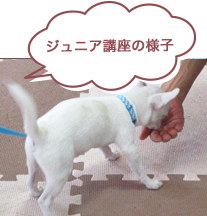 ジュニア講座の様子