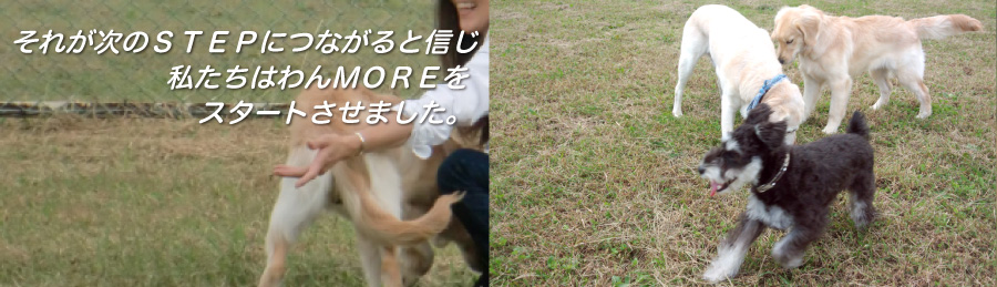 わんちゃんと飼い主様の笑顔のために わんmore